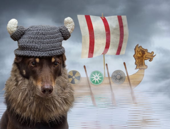 Kelpie viking