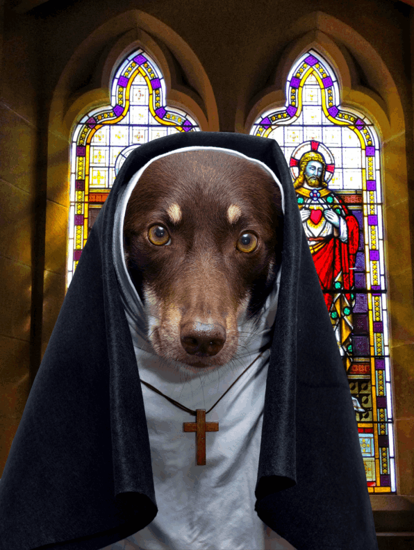 Kelpie nun
