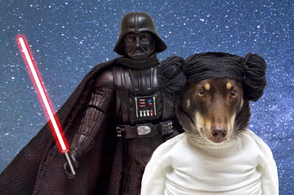Kelpie star wars and princess Leila